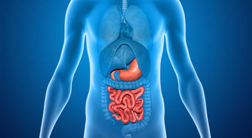 How to Pass the Gastroenterology Board Exam How to Pass the Gastroenterology Board Exam
