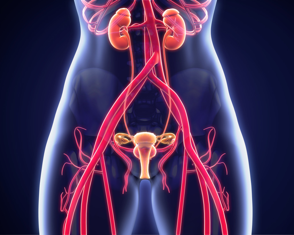 Boardvitals coupon code