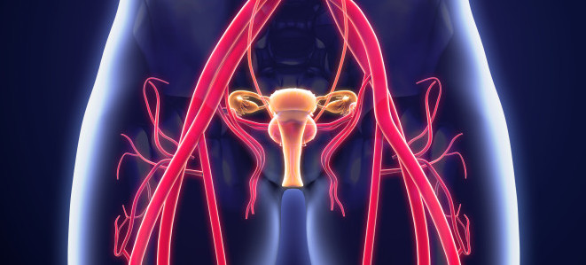 Special Delivery: 6 Free OBGYN Board Review Questions Special Delivery: 6 Free OBGYN Board Review Questions
